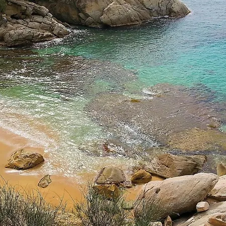 Lloguer30 Llevanti, Near The Sea شقة