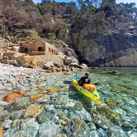 Lloguer30 Llevanti, Near The Sea