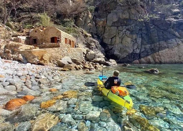 Lloguer30 Llevanti, Near The Sea